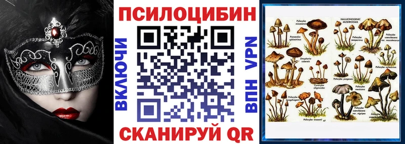 как найти наркотики  Исилькуль  Псилоцибиновые грибы MAGIC MUSHROOMS 